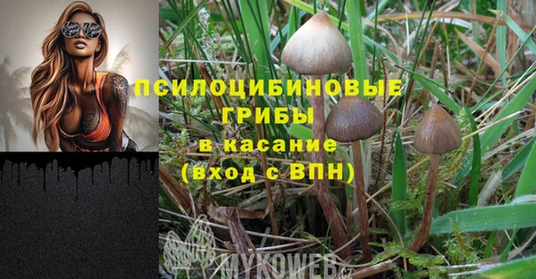 mix Дмитров