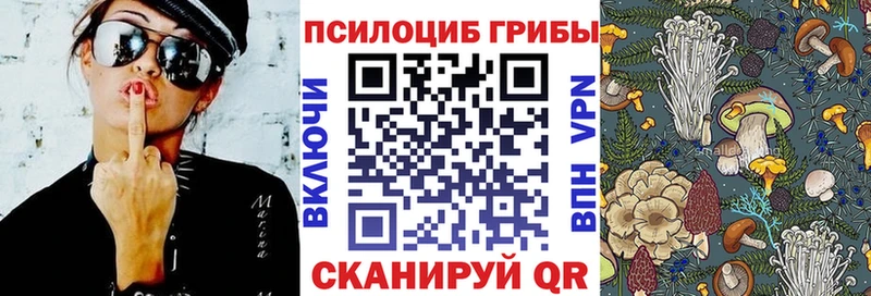 Купить закладки  Кодинск  Галлюциногенные грибы мицелий 